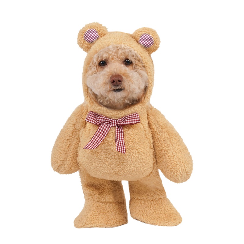 Walking Teddy Bear Pet Costume